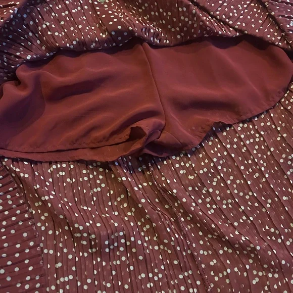 Zara Polka Dot Burgundy Skirt - Picture 3 of 7